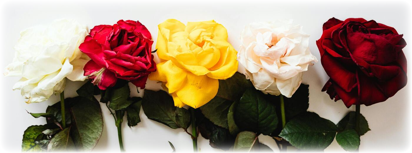 Yellow Rose Cabin Bed and Breakfast Come Relax With Us!